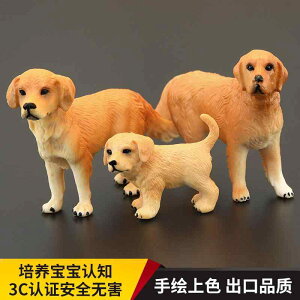   tBMA  l` h[ zr[ 킢 RNV CeA ~j`A v[g u q V~[V A