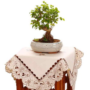 t[X^hJo[ یJo[ _XgJo[ IJo[ _  킢 CeA