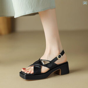 fB[X  JWA h  T_  NX Xgbv g  q[ obN I[v gD C Vv nCq[