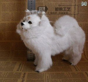  킢 ʂ fXNgbvI[ig V~[V |jA |  ^ Mtg  K[th