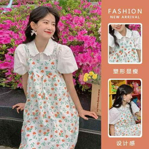 }^jeBhX  l`  ptX[uVc  v`  TXy_[ XJ[g X[c fB[X Dw ~ s[X ԕ