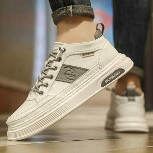  Y zCg C ʋCQ JWA Xj[J[ j̎q X|[c V[Y EhgD Vv 