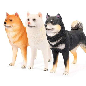   tBMA  l` h[ zr[ q ߋ A V~[V Č  CeA RNV ~j`A v[g `bN