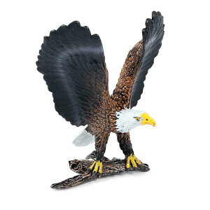  tBMA ͌^ l`  zr[ ~j`A o[h RNV CeA v[g `bN q V~[V V  u