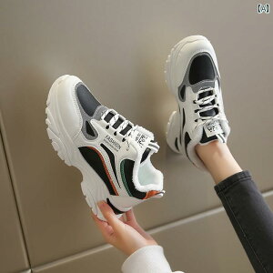 fB[X X|[c V[Y ^C Er ȌC xxbg ~ g w y Ռz v jO