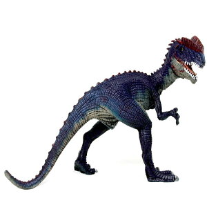   zr[ l` WI `bN q v[g RNV CeA ~j`A tBMA A  ͌^