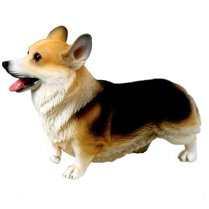   tBMA  l` h[ zr[ 킢 R[M[ `bN q v[g RNV CeA ~j`A A