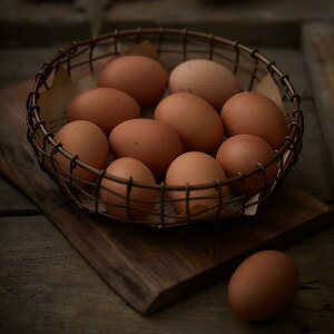 gC  CeA u [  g mX^WbN Vv 킢 ʐ^  k g oXPbg