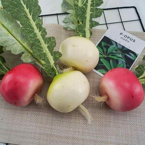 Hi Tv A { H ۂ 卪  tFCN ʕ  c  Lrlbg  ʐ^Be