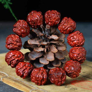  ANZT[ Y fB[X [YEbh   uXbg Jbv Vv   Mtg