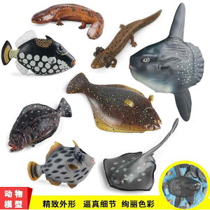 マンボウ アンコウ 海洋生物 フィギュア 模型 おもちゃ ホビー 人形 コレクション インテリア ミニチュア リアル 子供 科学 教育 シミュレーション ギフト
