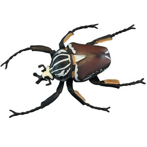 昆虫 フィギュア 模型 おもちゃ ホビー 人形 コレクション インテリア ミニチュア リアル 子供 シミュレーション プレゼント ディスプレイ 装飾品 教育