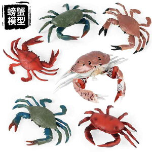 Jj Cm tBMA ͌^  zr[ l` RNV CeA ~j`A A q V~[V fBXvC  v[g