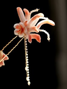 wAANZT[ g AeB[N GXjbN  S[WX ߑ AWAeCXg  ANZT[  񂴂