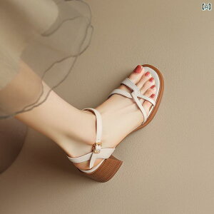 fB[X  JWA nCq[ T_ X^CAbv  v I[vgD  q[  obN Xgbv AE^[EFA C