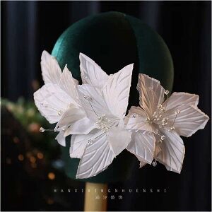 ANZT[  wAoh WG[ uC_ wA J`[V  fB[X t[ G  i  fB[X