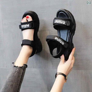 fB[X  T_ AE^[EFA  dp \[ r[` V[Y \tg I