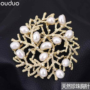 R[g fB[X u[`  w ؍ W p[u[` TS t[ s obN g K[h obW RT[W