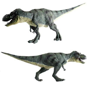  tBMA ͌^ l` LbY  zr[ WI ~j`A RNV CeA V~[V eBmTEX  j̎q q Mtg