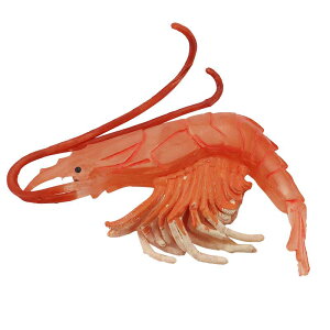 Gr Jj Cm tBMA ͌^  zr[ l` RNV CeA ~j`A A `bN q  v[g