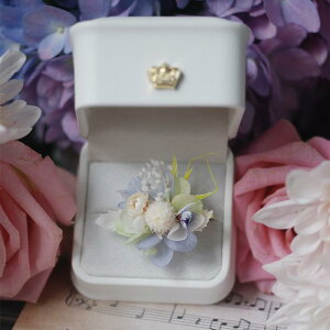 ANZT[ w G^[it[ zCgf[ Mtg fB[X t@bV