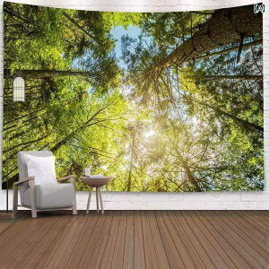 ^yXg[ Ǌ| EH[fR CeA ANZT[ i` wiz ʐ^Be i  j[N A[g