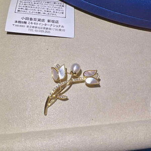 R[g fB[X u[`  `[bv  RT[W s nCGh ؍ nCGh Qϓ w Mtg