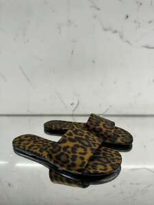 fB[X  JWA T_ ₷ ₷ ړI AE^[  t@bV qE I[vgD Xbp