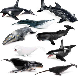 CJ V` T Cm tBMA ͌^  zr[ l` RNV CeA ~j`A A q V~[V  `bN