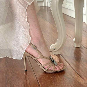 fB[X  nCq[ T_ X^CAbv    tFA[ X^C t[ XeBbg I[v gDXgbv