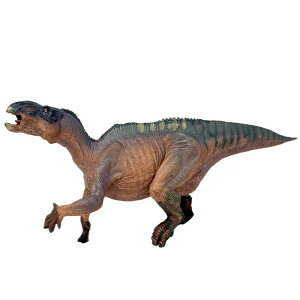  tBMA ͌^ l`  zr[ WI V~[V `bN q Ȋw  v[g RNV ~j`A CeA