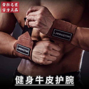 tBbglX U[  X|[c  fB[X  u[X^[ xg  X|[c ی x` vX