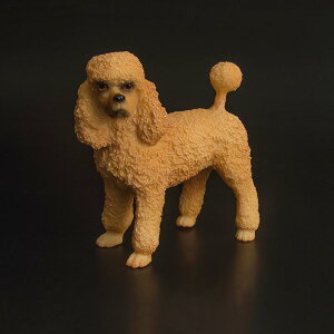   tBMA  l` h[ zr[ q ߋ A j̎q ̎q J[ANZT[ CeA RNV v[g ~j`A `bN