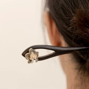 wAwAANZT[ 񂴂 wAs      l ̓ Mtg g  _ `Ci g fB[X Vv i` i Be  f