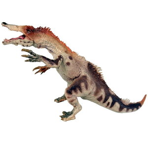  tBMA ~j`A RNV ͌^ l`  zr[ WI V~[V 傫 `bN q   u Mtg