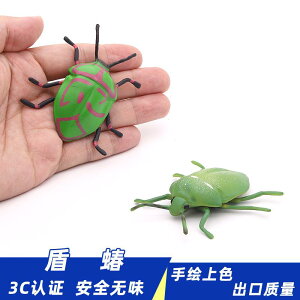 JV  tBMA ͌^  zr[ l` RNV CeA ~j`A A V~[V q Mtg i fBXvC 