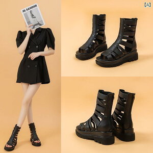 V[gu[c fB[X  K V[Y  킢 ꂢ i 킹₢ ₢ Abv  x Cxg tFX W[ p[eB[ f[g s