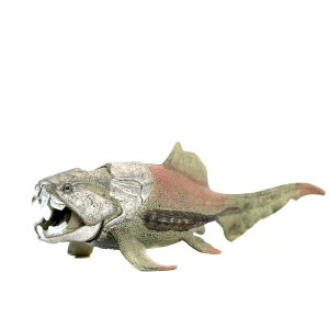  Cm tBMA ͌^ l` LbY  zr[ WI q V~[V j  v[g  RNV CeA