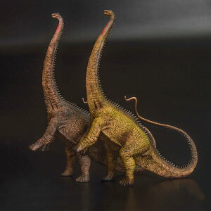  tBMA ͌^ l` LbY  zr[ WI  RNV CeA ~j`A  q j̎q ̎q Mtg A