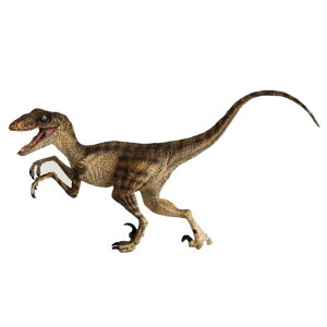  tBMA ͌^ l` LbY  zr[ WI  FLvg u[ v[g q RNV CeA ~j`A 