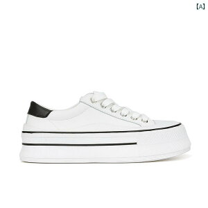 fB[X C V[Y Xj[J[  t@bV JWA Vv ʋ ʊw W[ fC[ }`V[ ؍