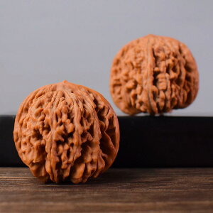  ANZT[ N~ gC  Xq 4K 莝  s[X nh gC N~ AeB[N  f Mtg ACfA