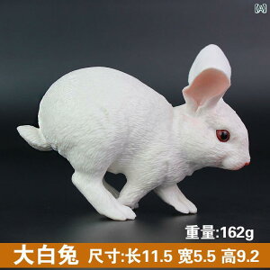 쐶  E tBMA rbg  `bN t@[  i j̎q q Ó ETM RNV