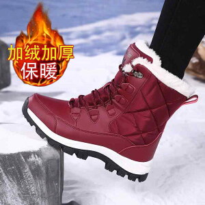 Xm[u[c V[gu[c ~  h h g ɂ s ፑ AEghA W[ fB[X V[Y