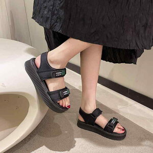 fB[X t@bV T_  V[Y ɂ y \tg \[ JWA X|[c AEghA  Oo  fB[X w