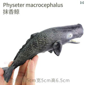 tBMA Cm    \tg V[ v[g RNV `bN q Ó i ߋ