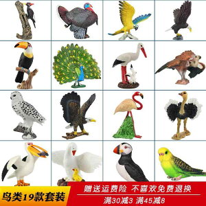  o[h  tBMA  l` h[ zr[ C[O IE tNE  q  RNV CeA v[g A