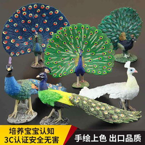  tBMA ͌^ l`  zr[ K[fjO I[ig E s[RbN RNV CeA ~j`A q V~[V    v[g u