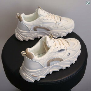 C V[Y X|[c Xj[J[ g[jO ^C fB[X  oh~g ʋC bV JWA o[{[ w Ռz jO 傫߃TCY