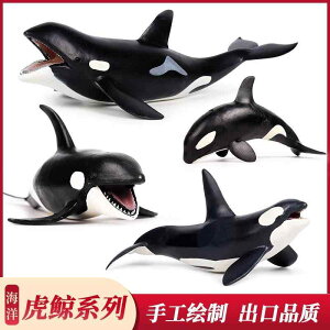 V` Cm tBMA ͌^  zr[ l` RNV CeA ~j`A A q  Ȋw  `bN fBXvC